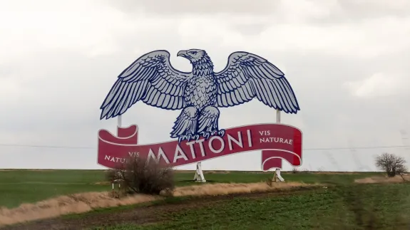 Big_logo_of_Mattoni_mineralwater_as_advertisment_near_D8,_Czech_Republic-6323.jpg